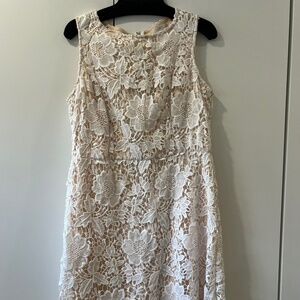 Loft Size 12P Ivory Lace Dress